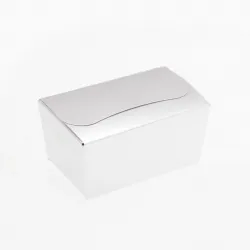 250g Fold Flat Ballotin; Shiny Silver
